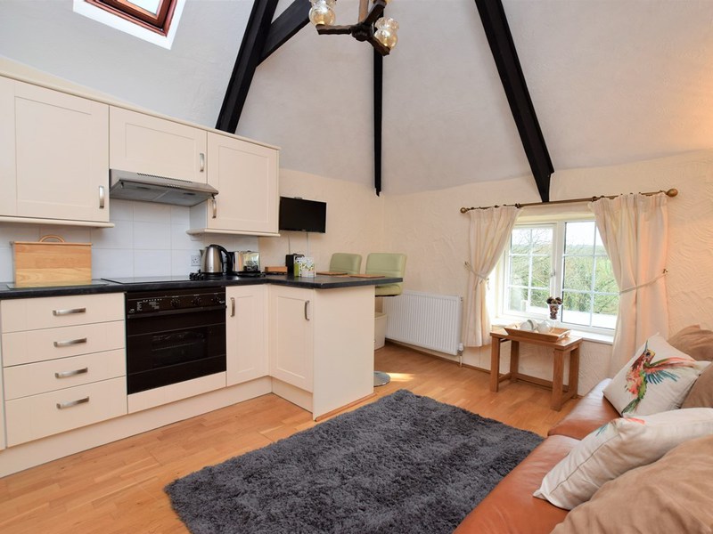 Open-plan living space with vaulted beamed ceiling